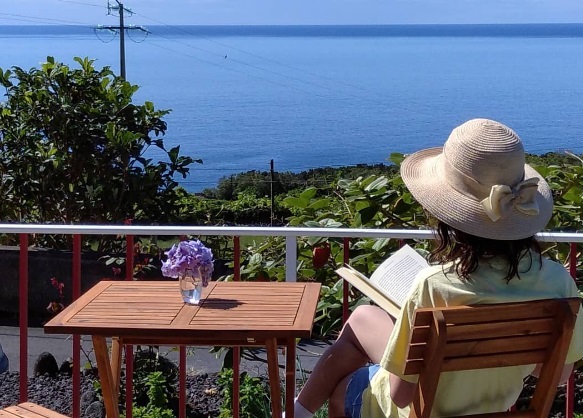 Casa do Girassol - Sunflower Guest House