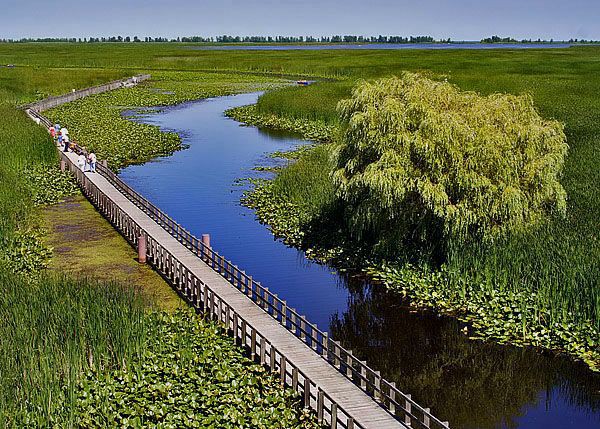 Point Pelee National Park