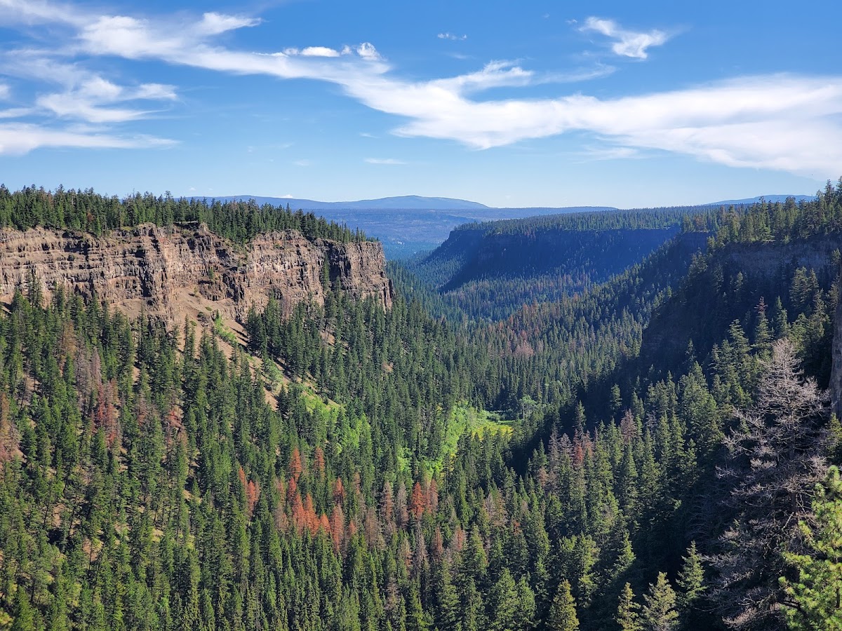 Chasm Ecological Reserve View Point