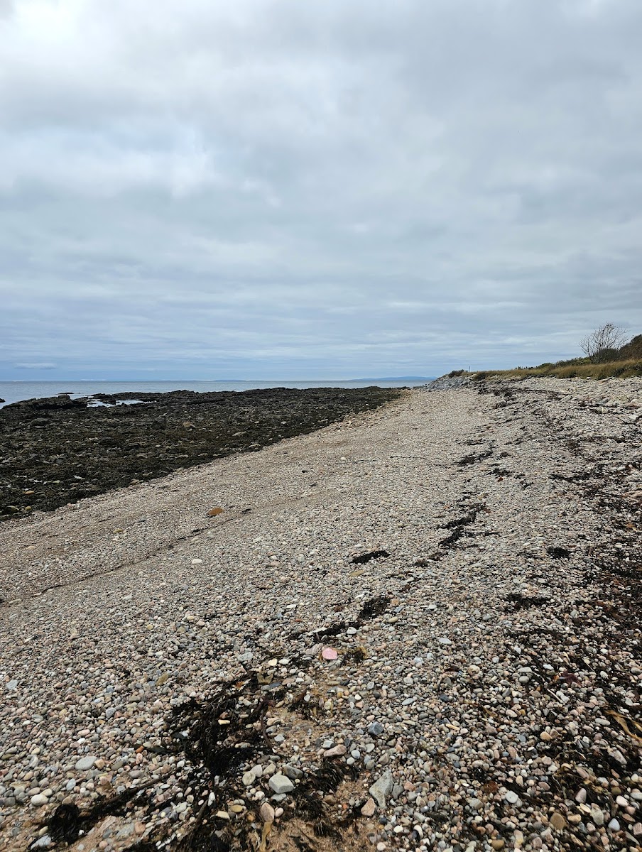 Helmsdale Beach