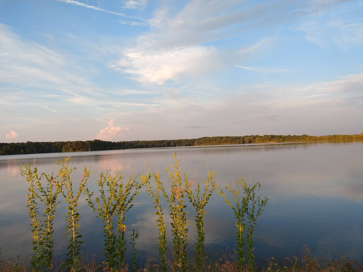 Crab Orchard National Wildlife Refuge