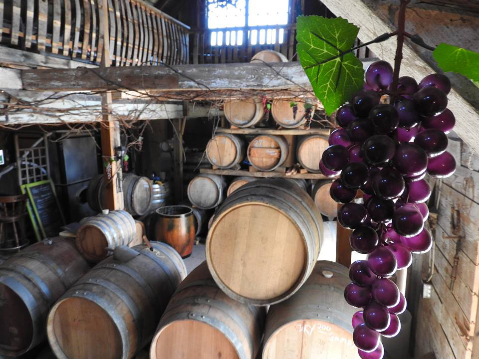 Black Prince Winery & Canadian Vinegar Cellars featuring Barrel House Wood-Fired Pizza + County Disc Golf