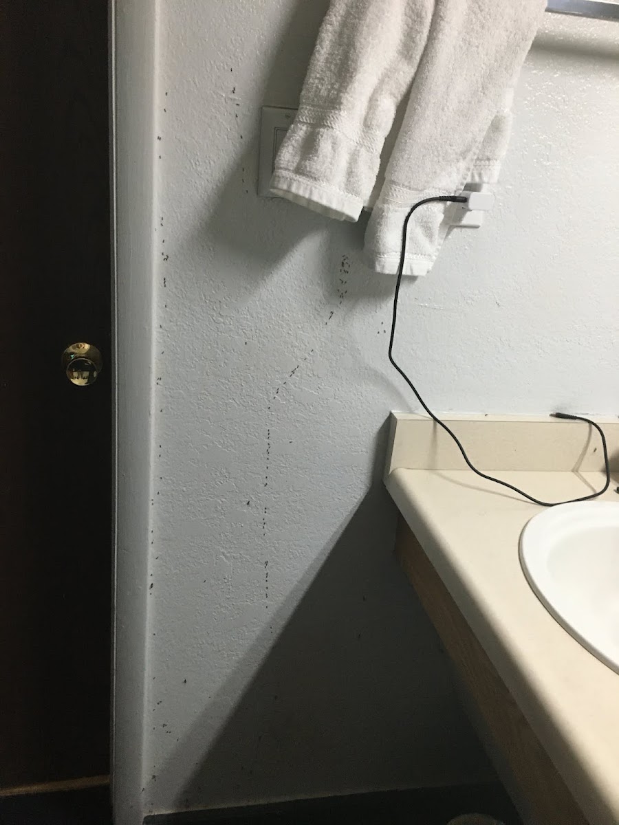 Room 4