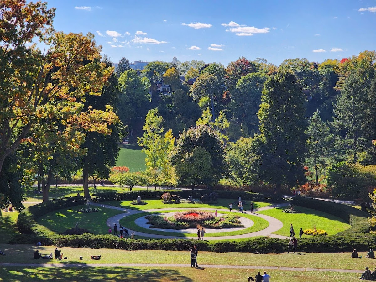 High Park