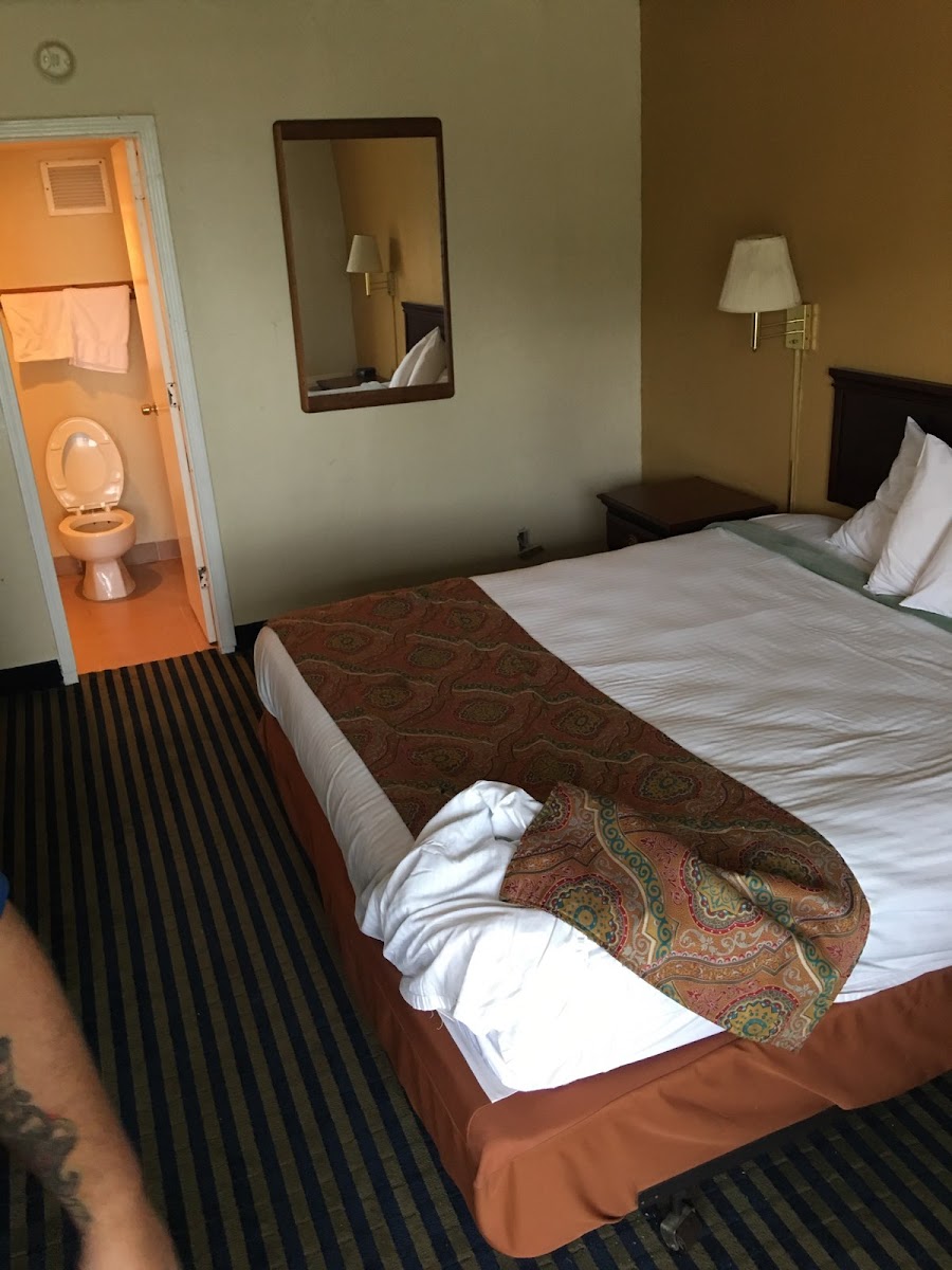 Room 4