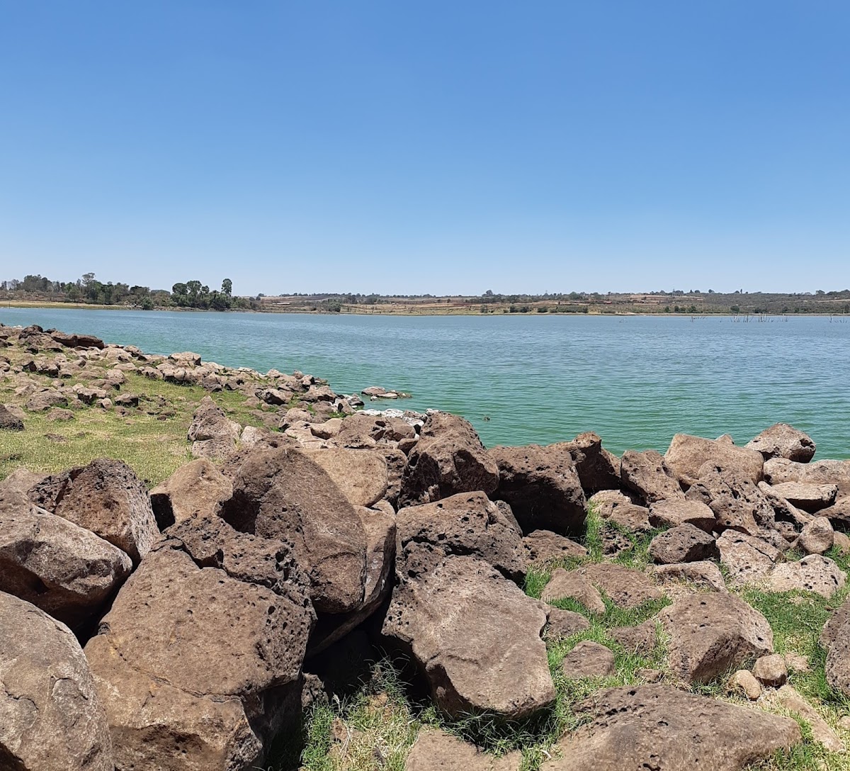 Presa La Red