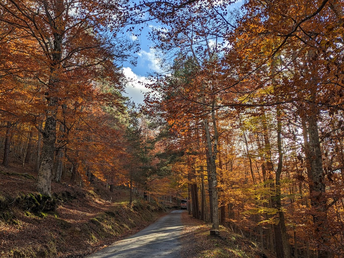 Parque Natural Sierra de Cebollera