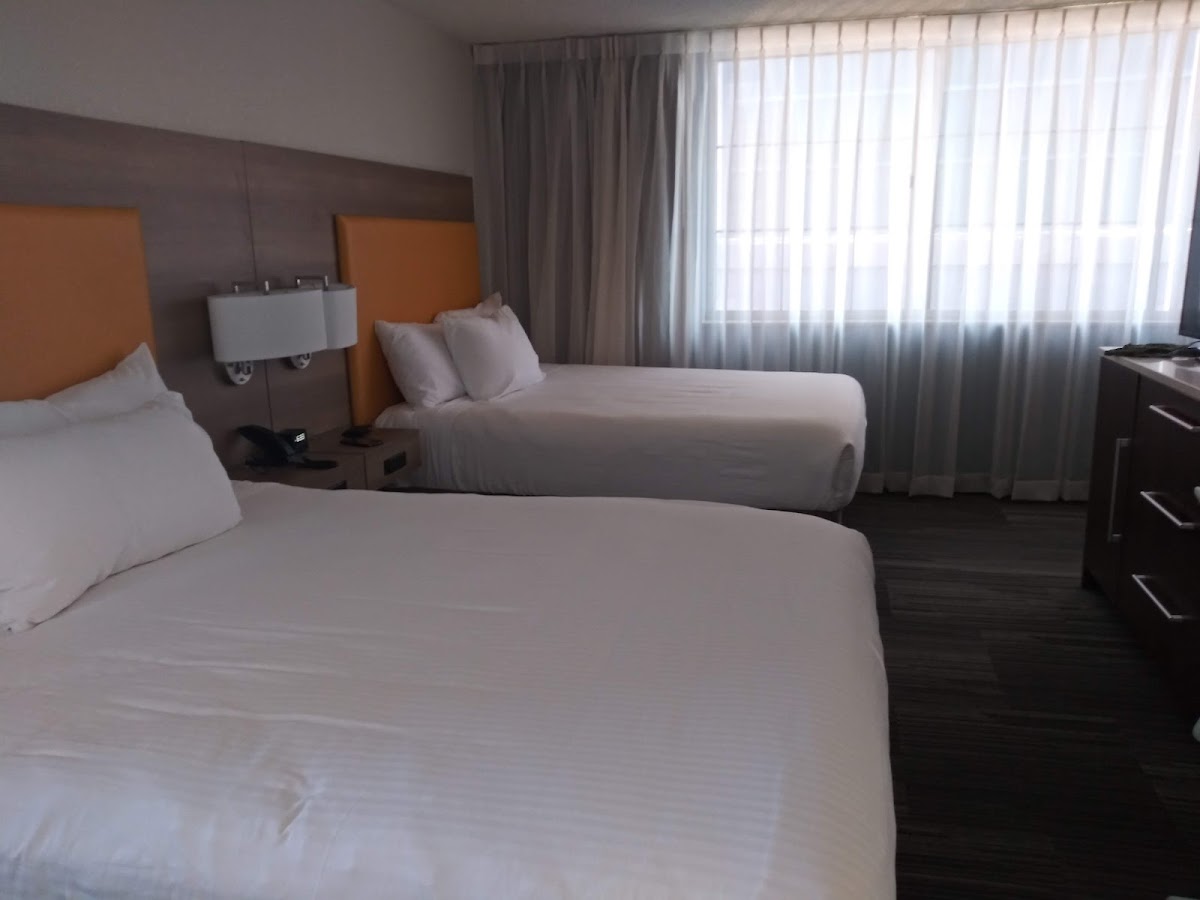 Room 8