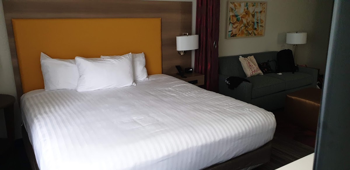 Room 9