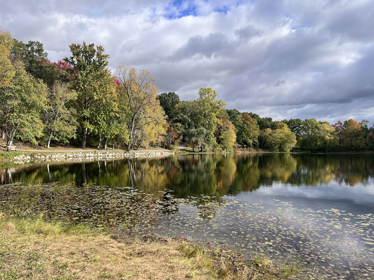 Hidden Lake Gardens