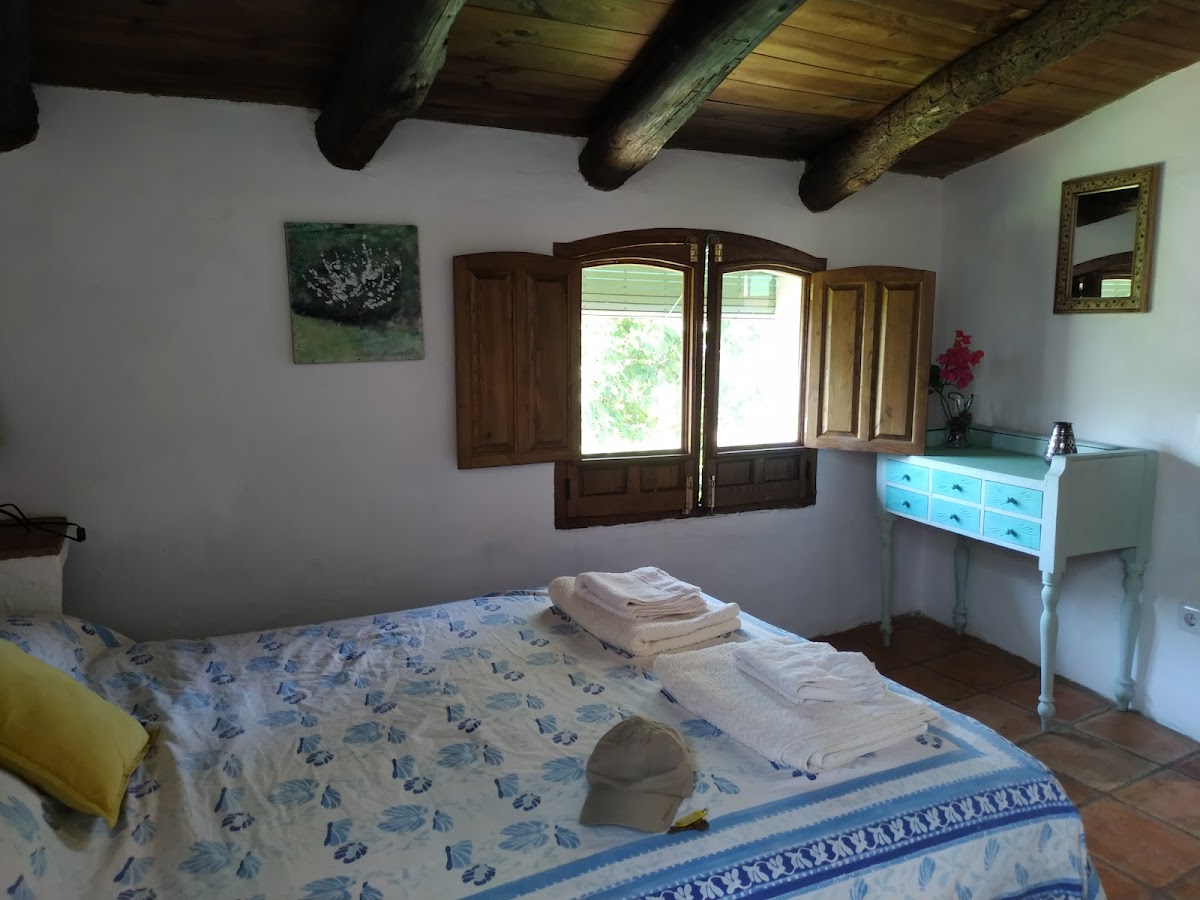 Room 6