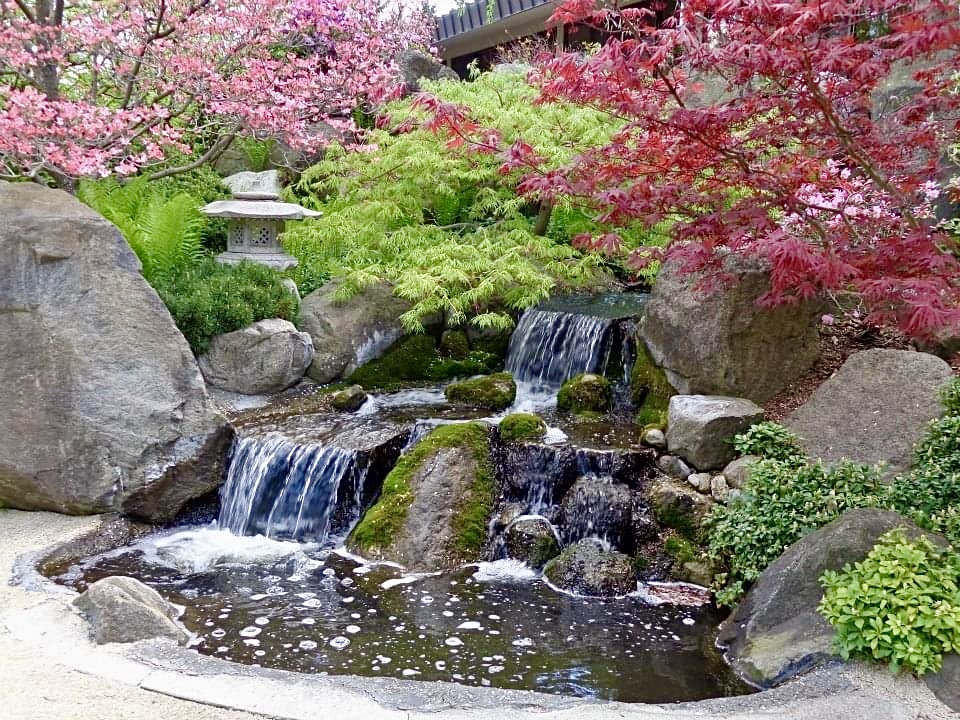 Anderson Japanese Gardens