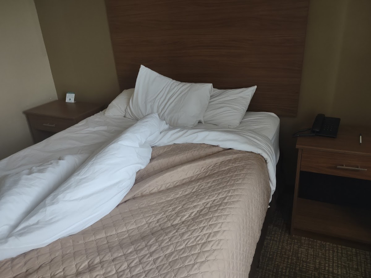 Room 7