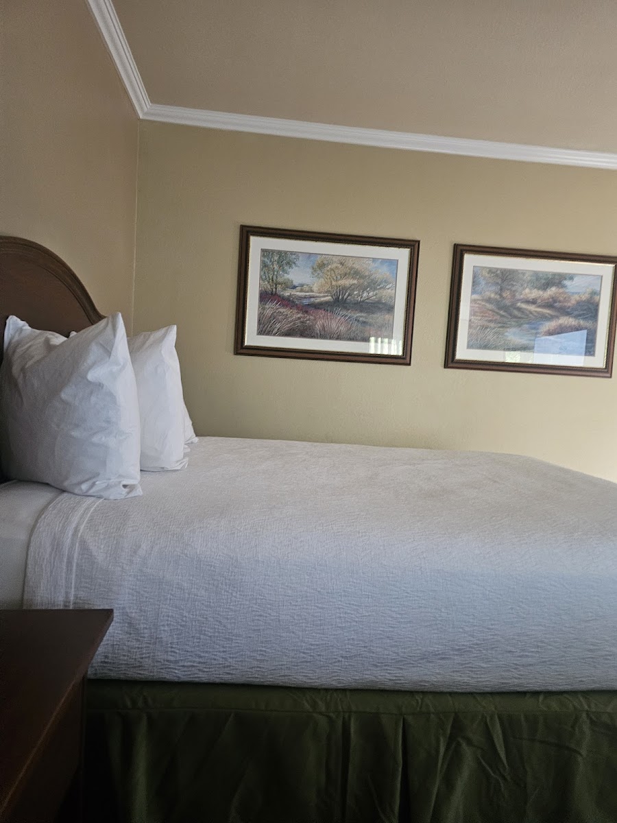 Room 2