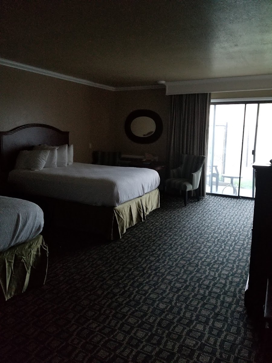 Room 3