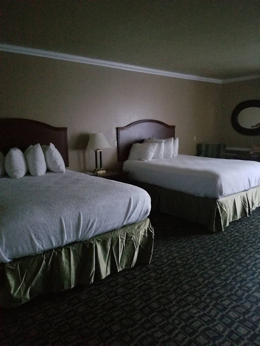Room 4