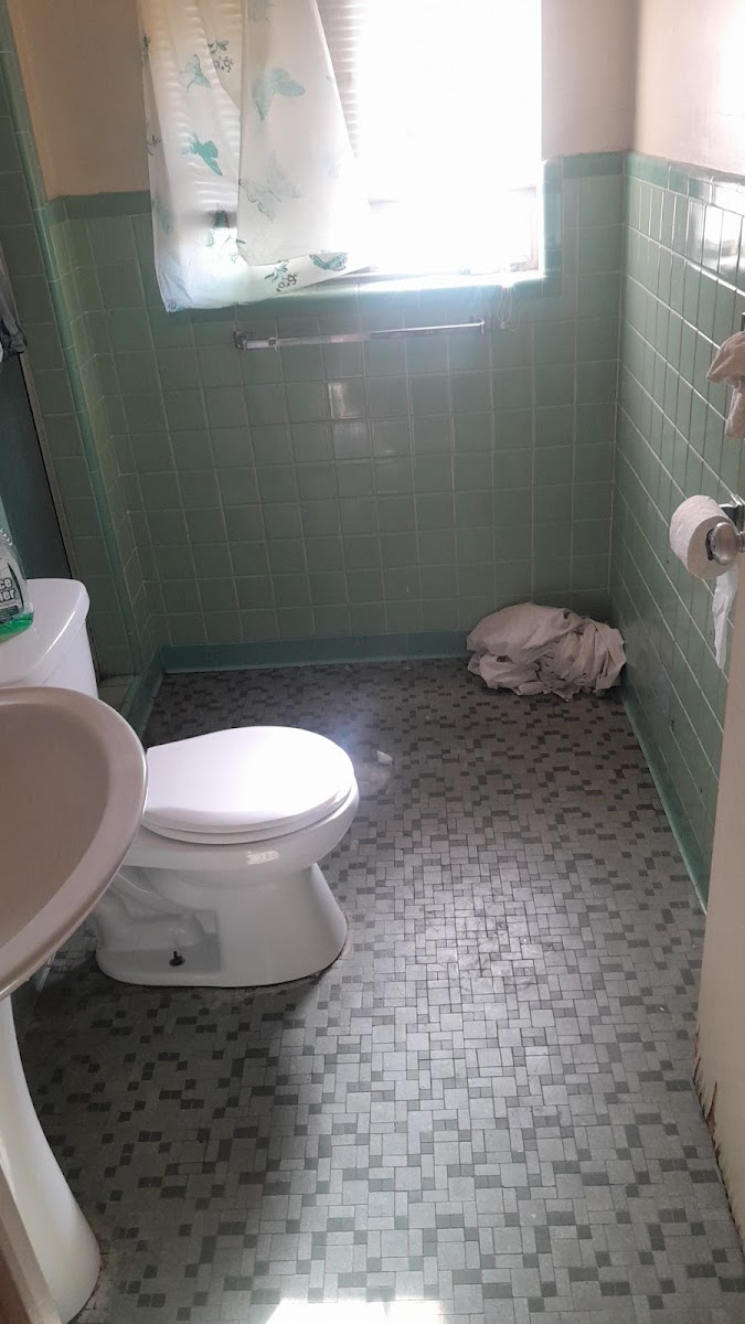Room 4