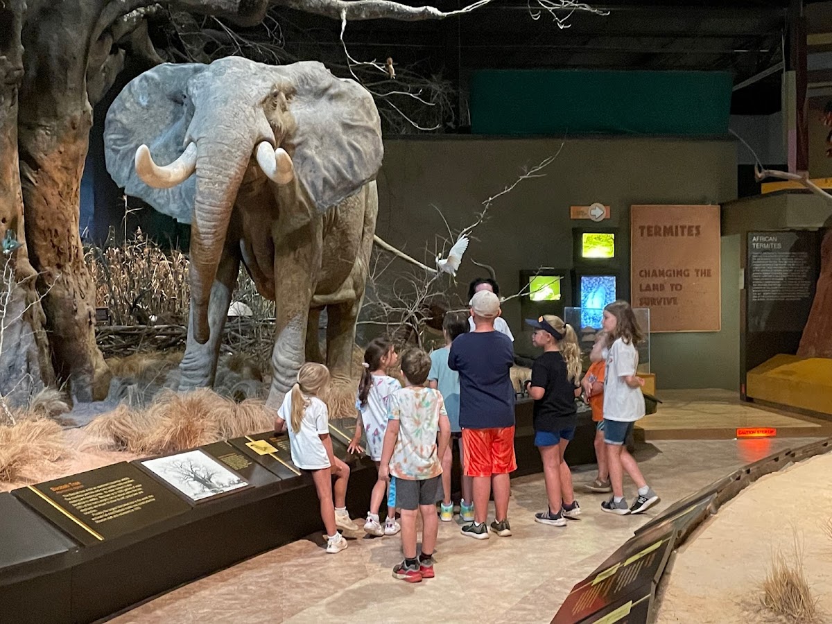 Anniston Museums and Gardens