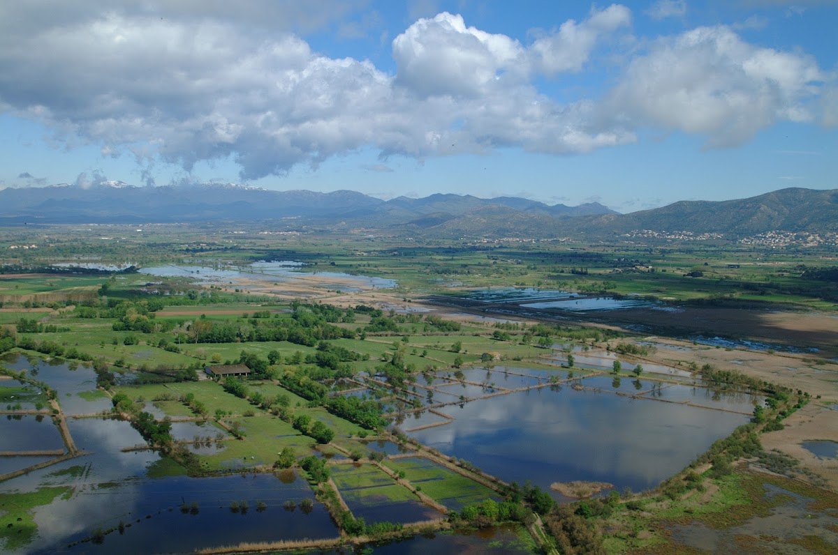 Aiguamolls de l'Empordà