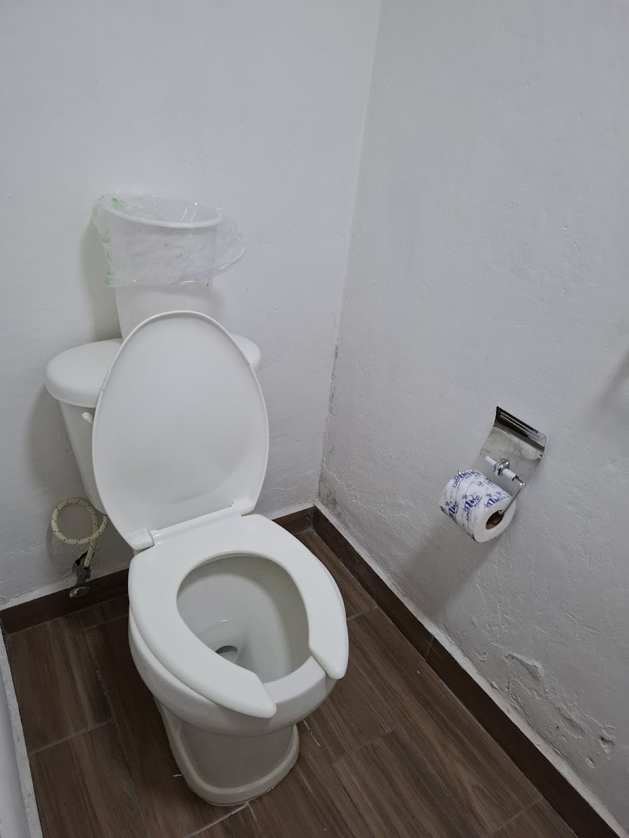 Room 4