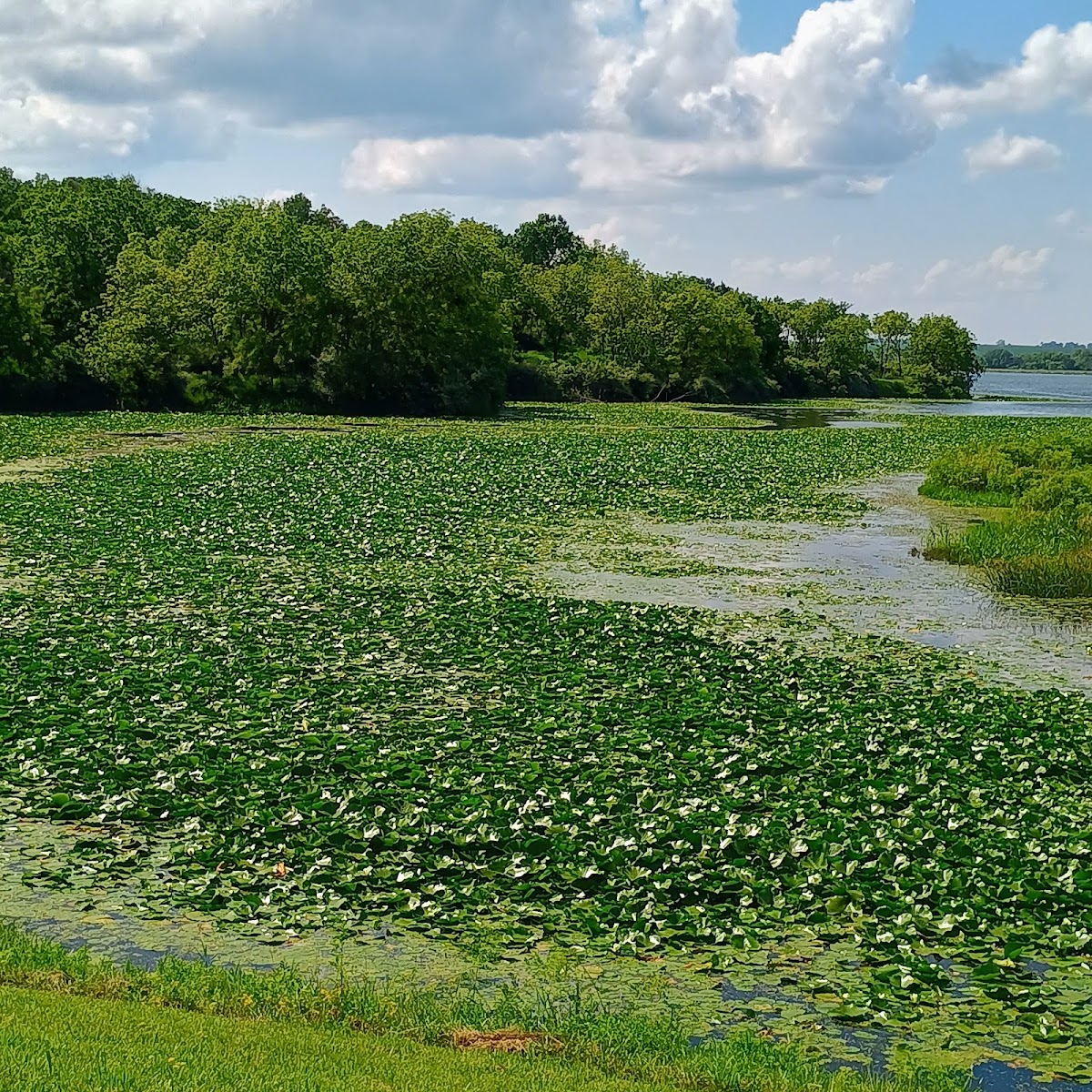 Lake Anita