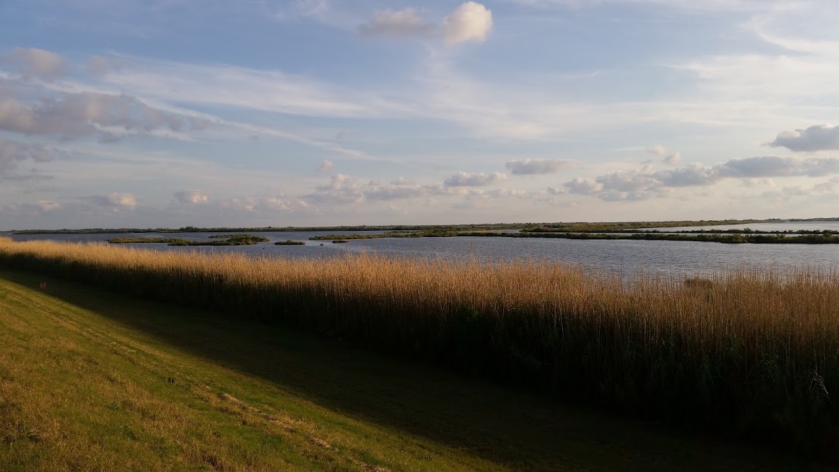 Pointe aux Chenes Wildlife Management Area