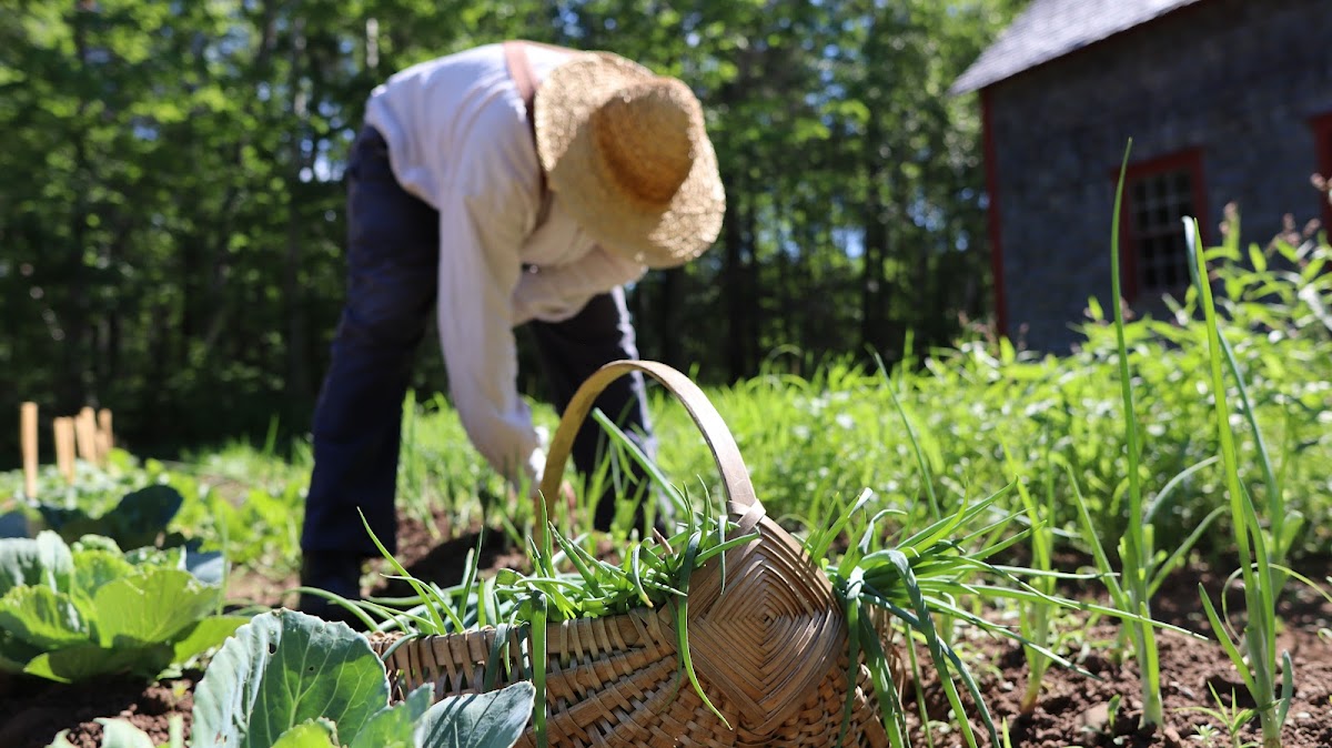 Village Historique Acadien