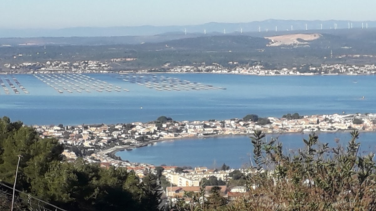 Étang de Thau