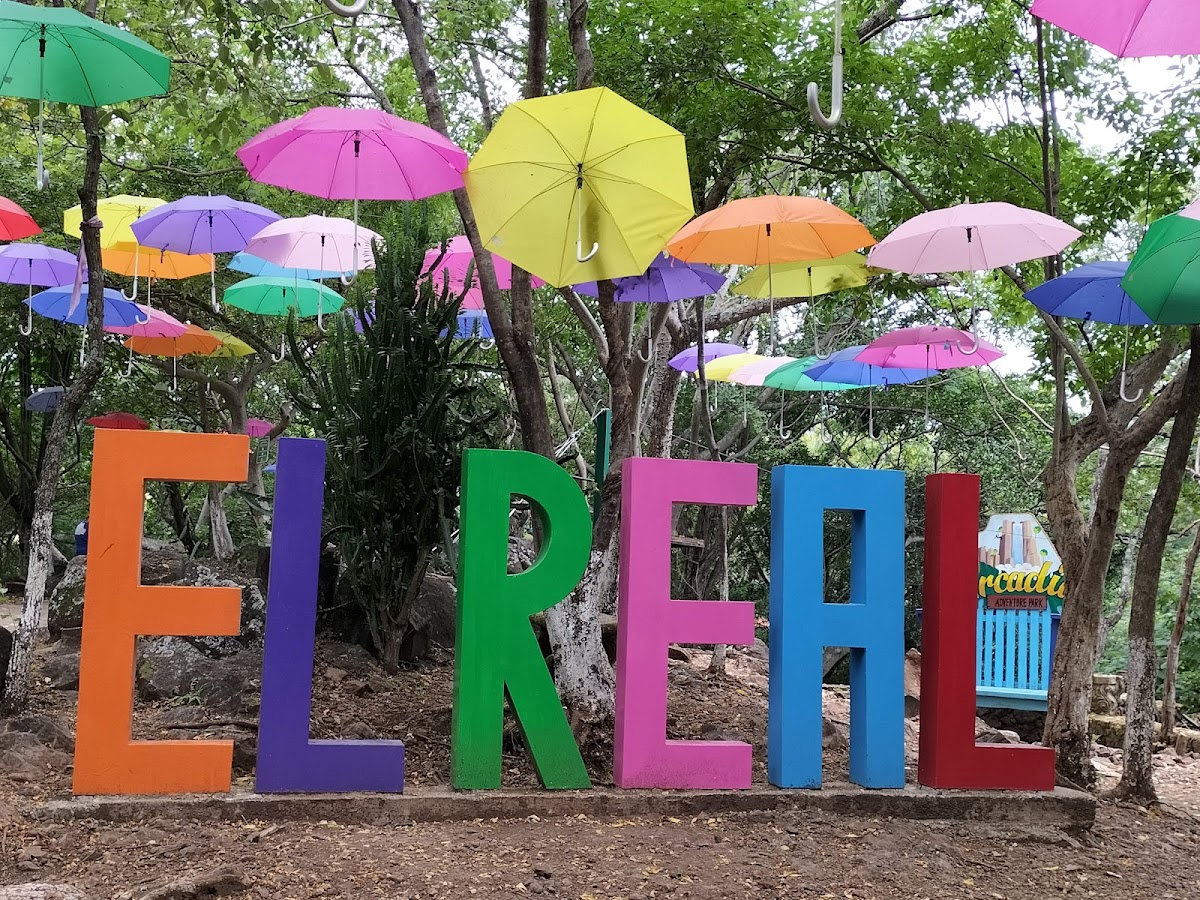 Arcadia Adventure Park