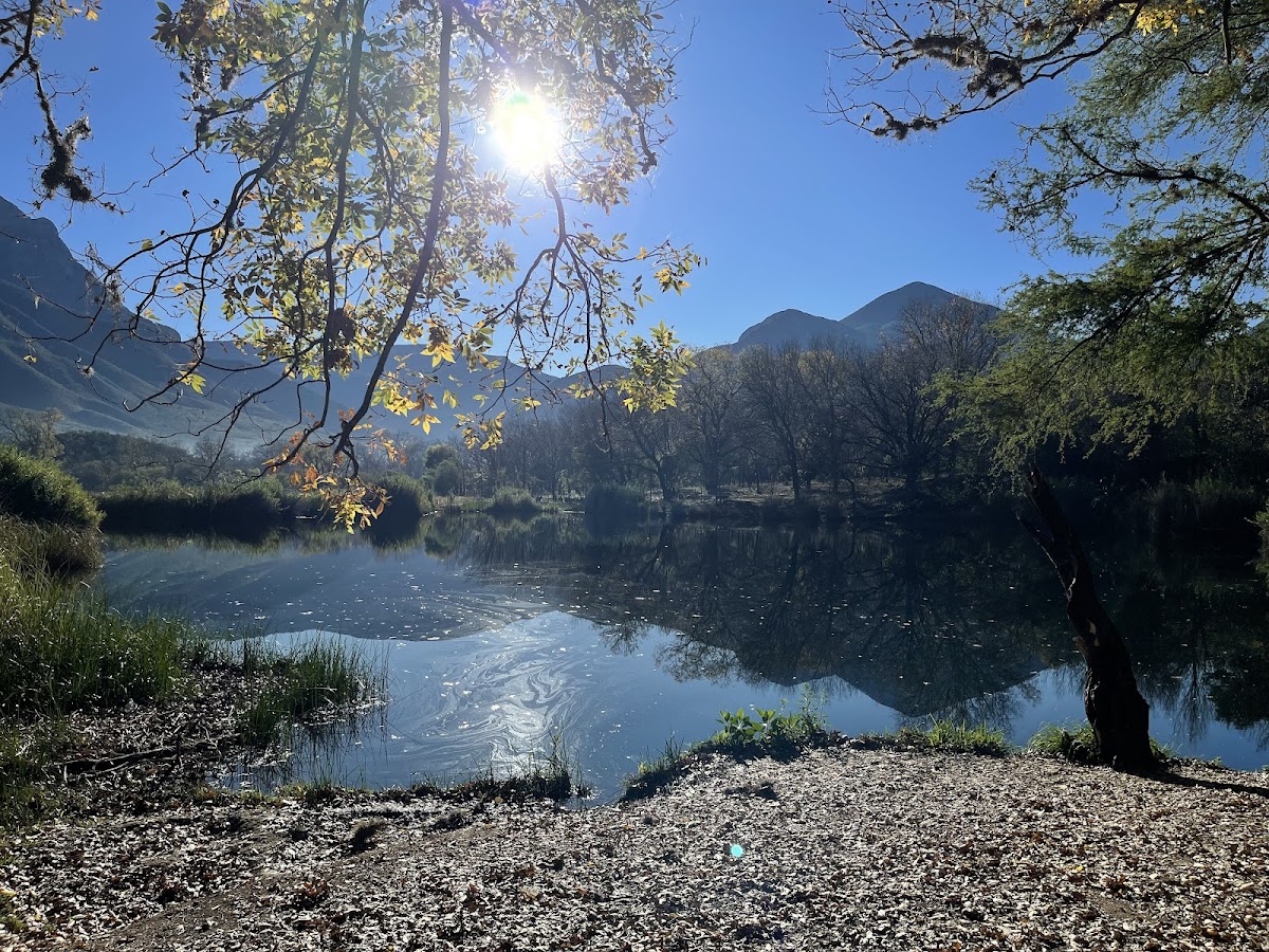 Perico Pond