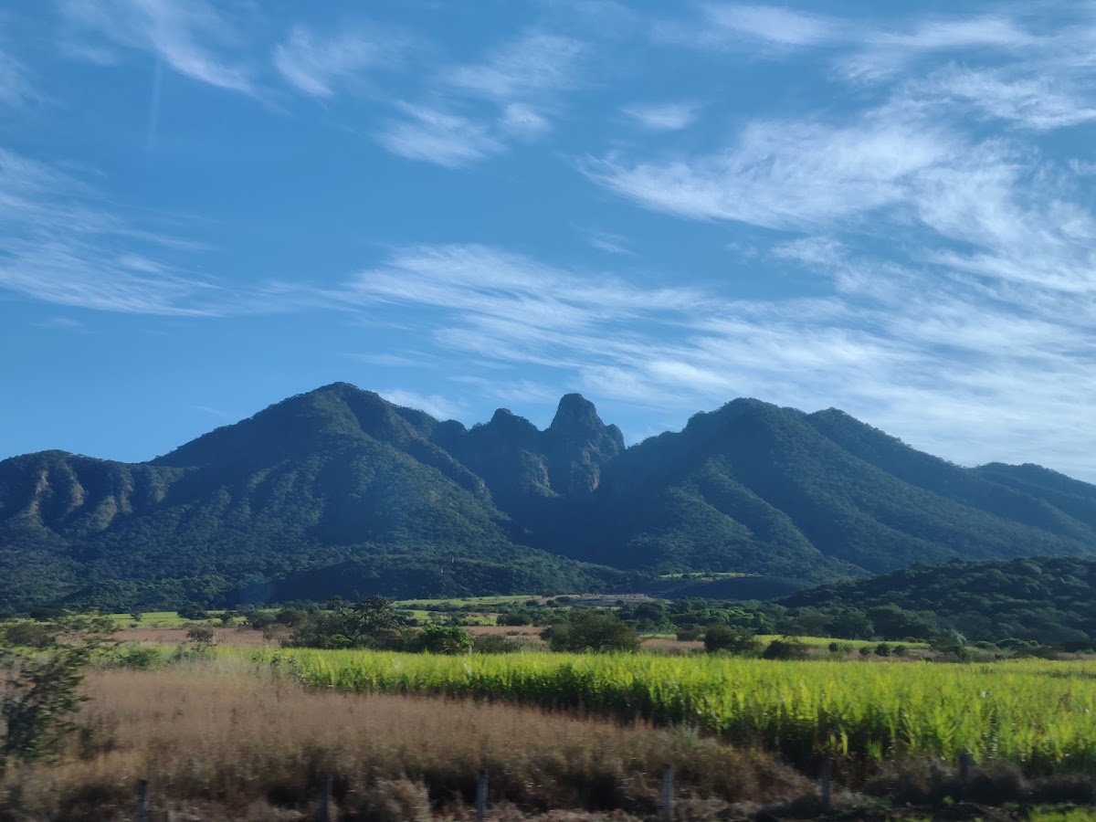 Sangangüey