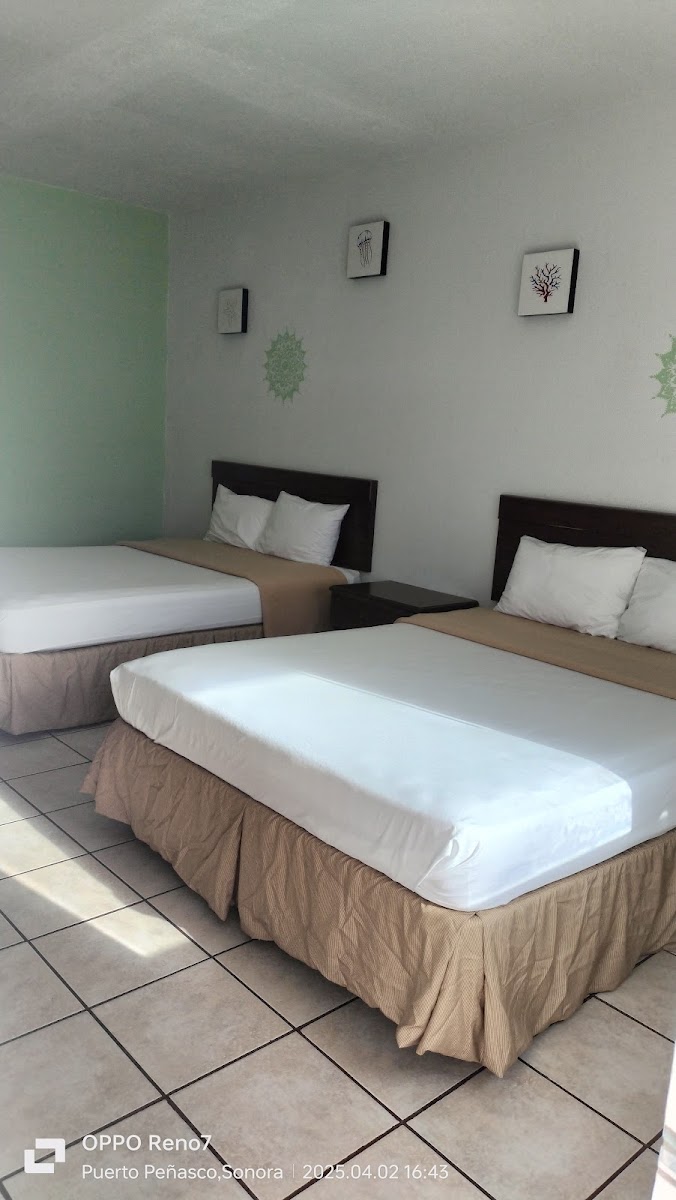 Room 1