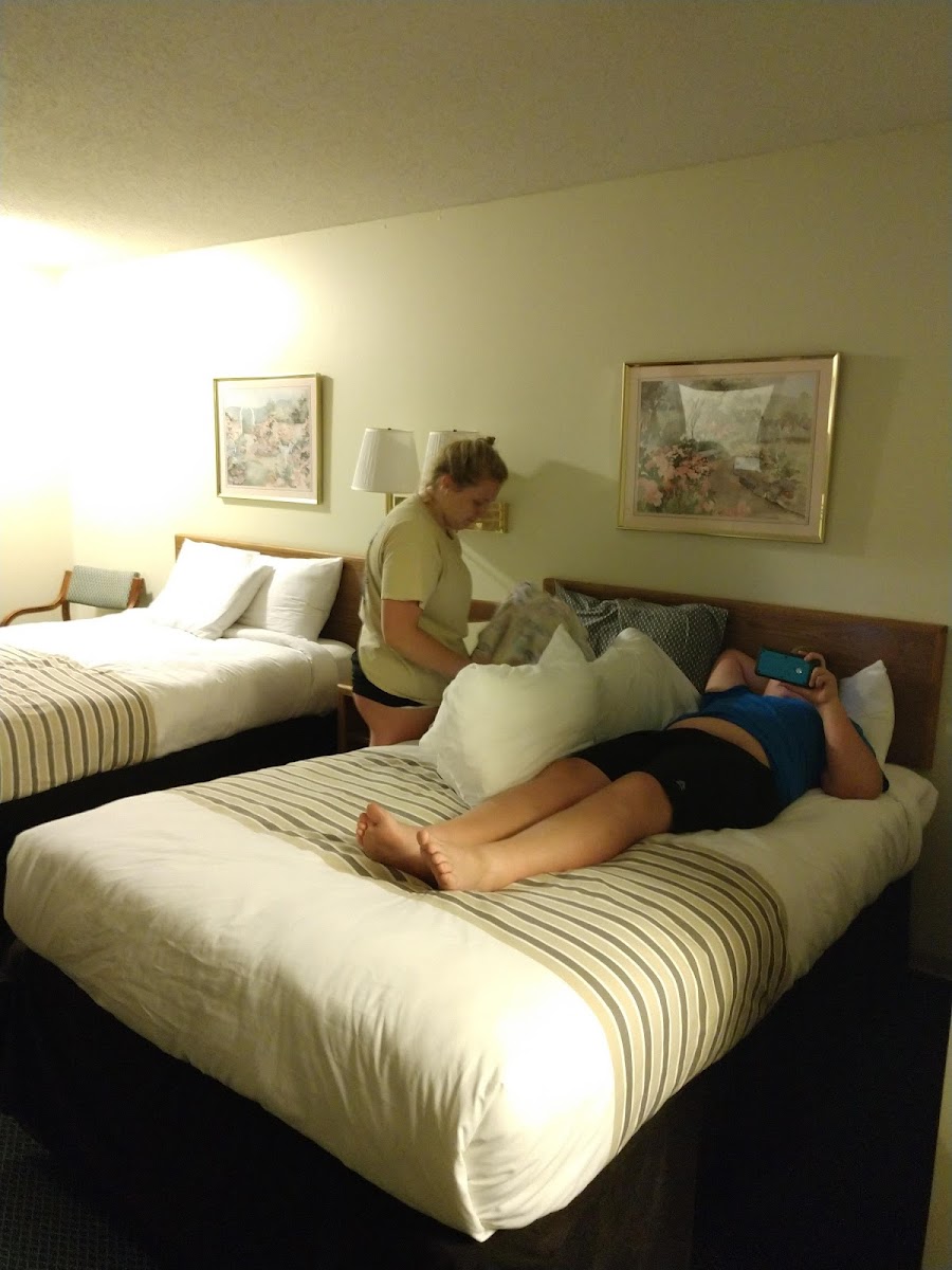 Room 5