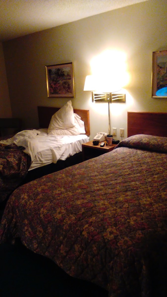 Room 6