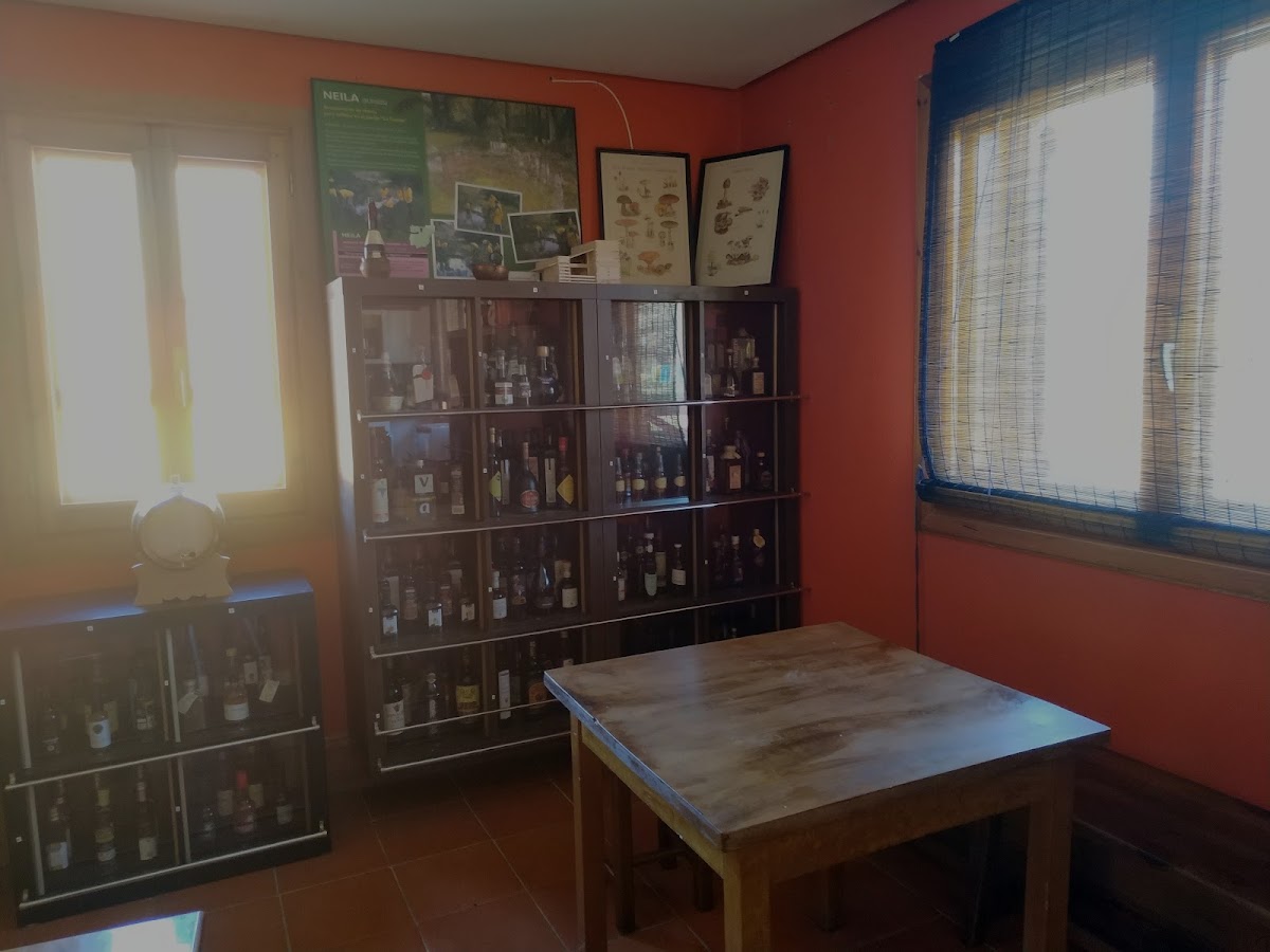 Room 4