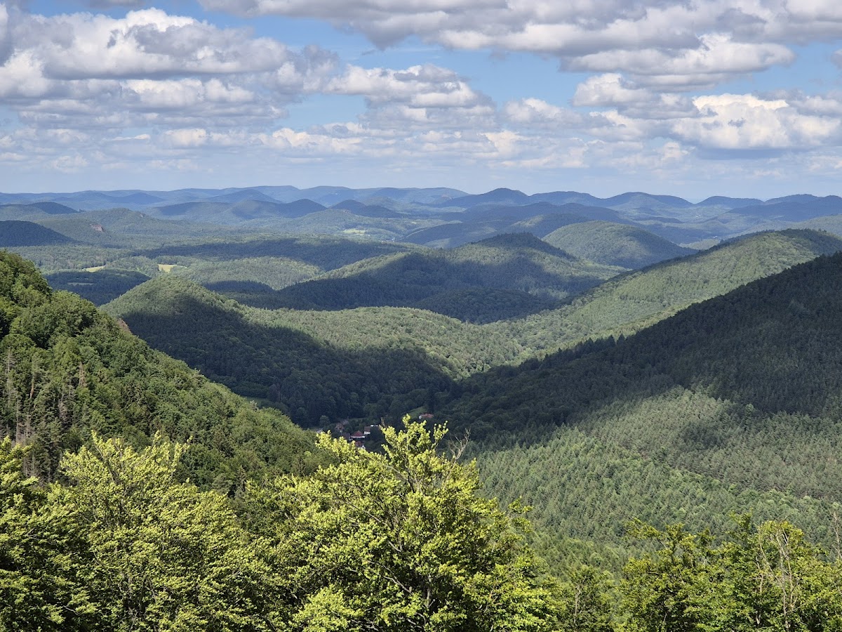 North Vosges Regional Natural Reserve