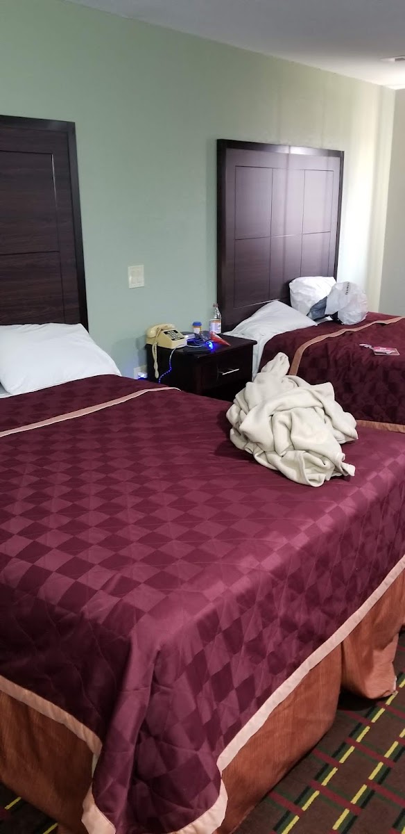 Room 6
