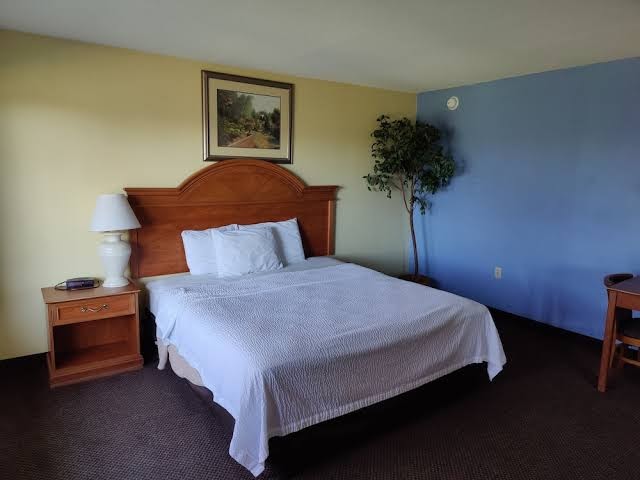 Room 5
