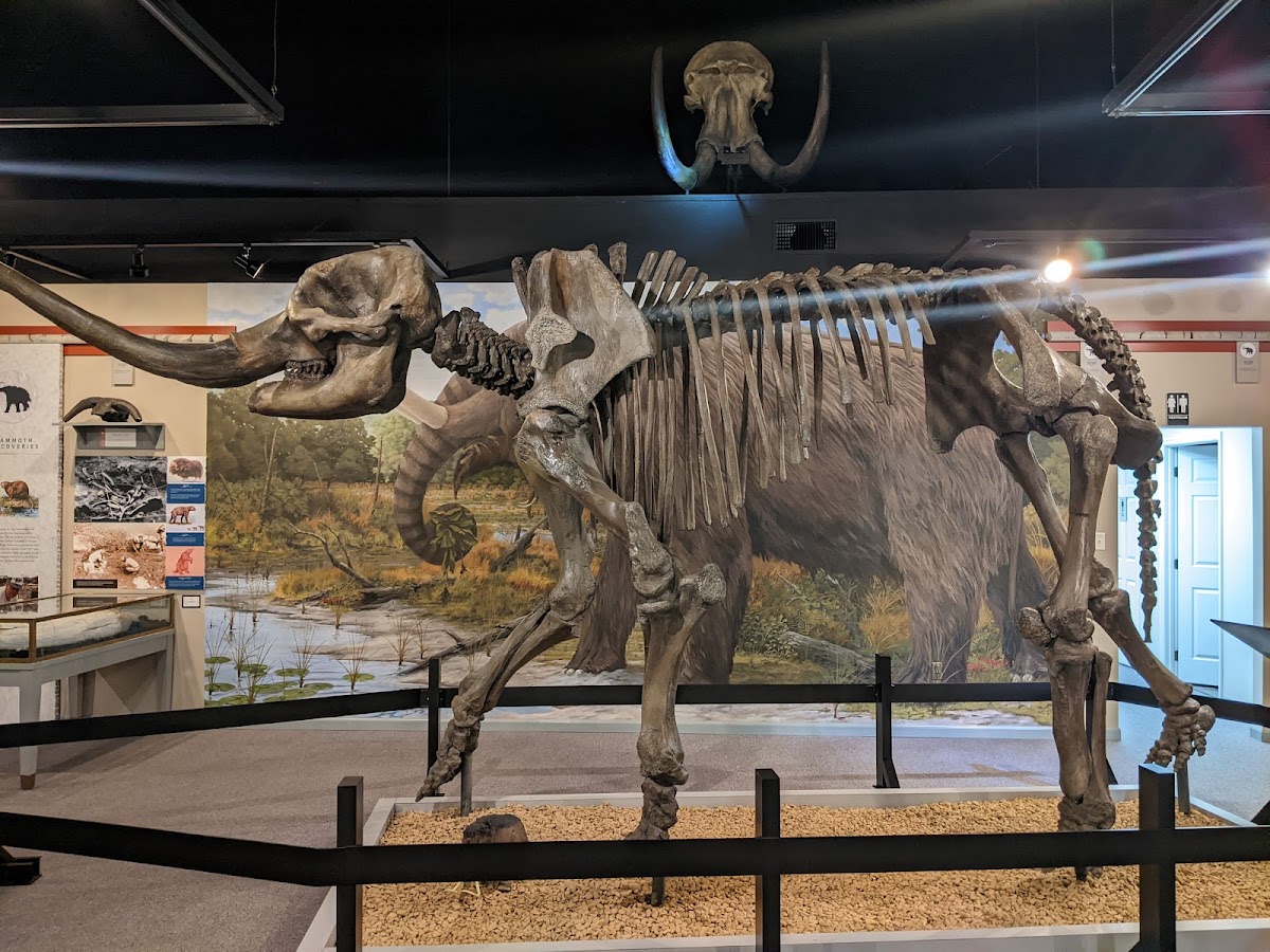 Museum Of The Middle Appalachians
