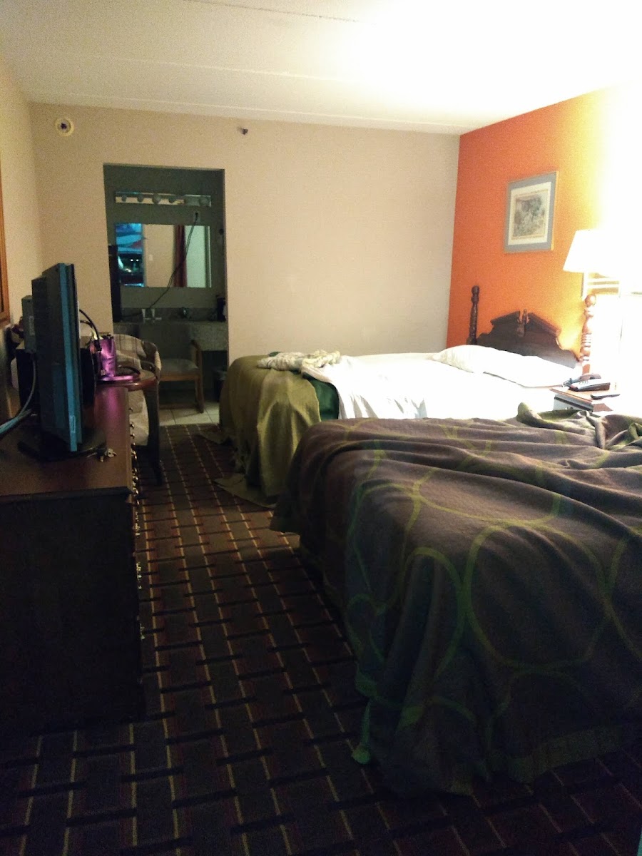 Room 4