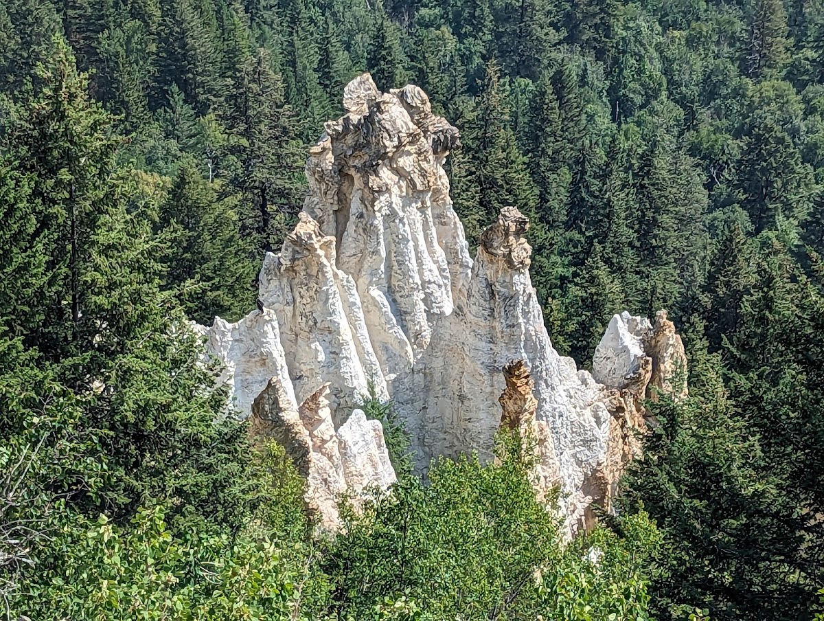 Pinnacles Provincial Park
