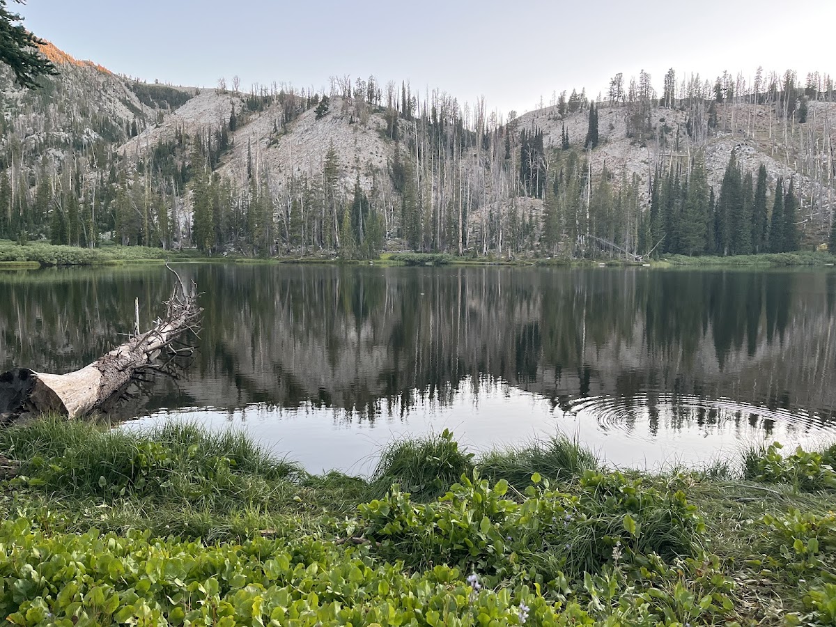 Big Trinity Lake
