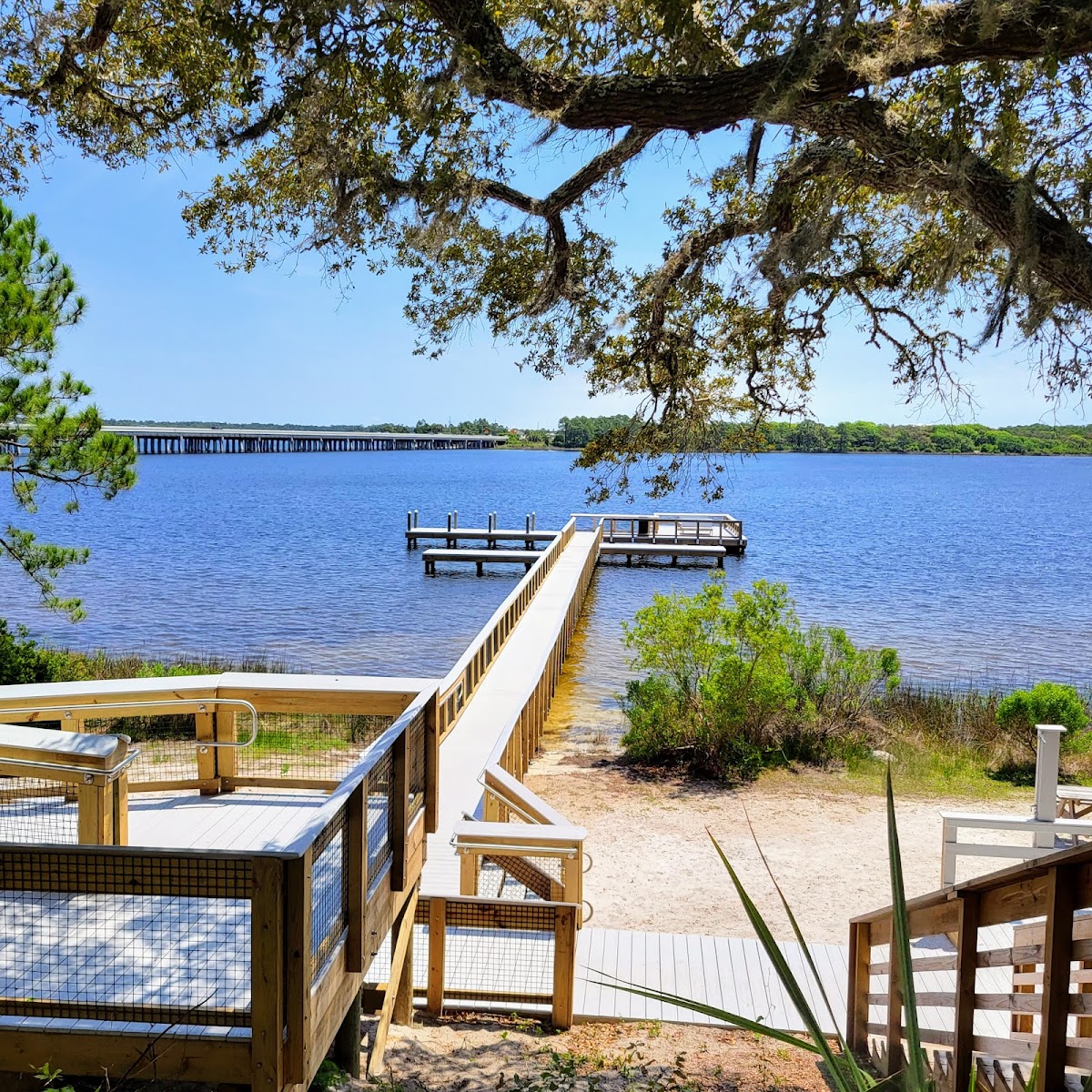 Camp Helen State Park