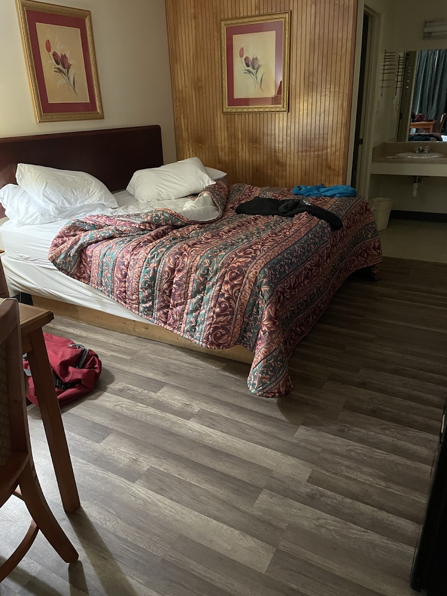 Room 8