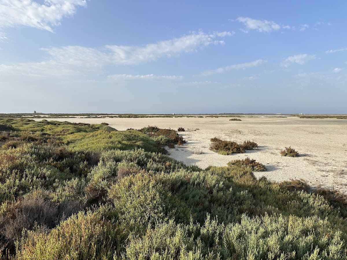 Punta Entinas-Sabinar