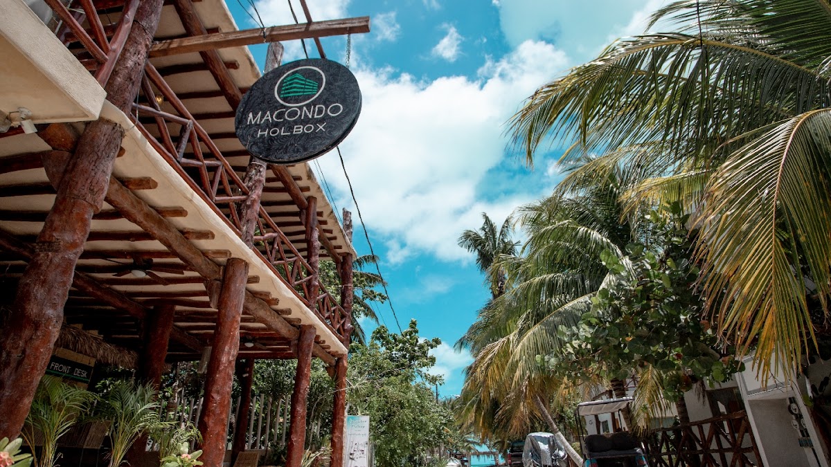 Macondo Holbox