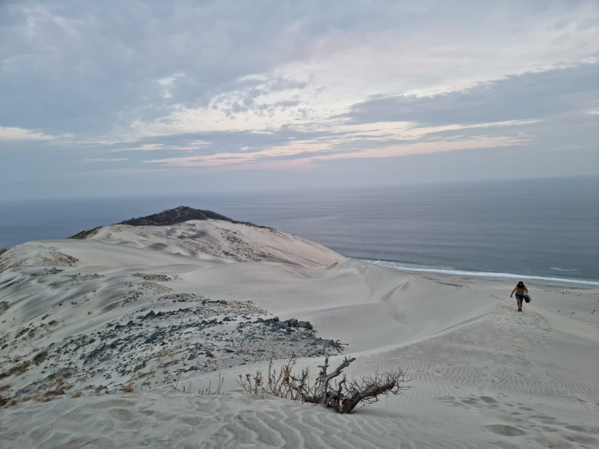 Dunas Costeras Punta Chipehua