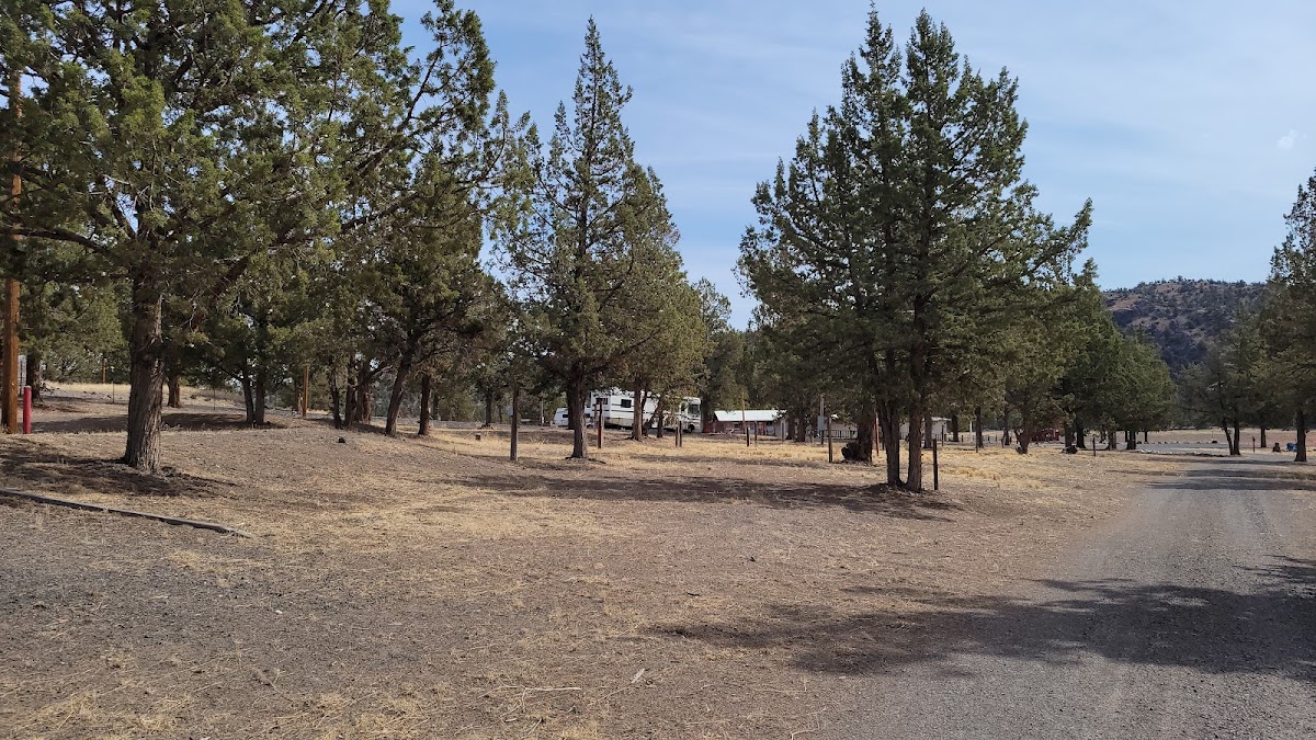 Prineville Reservoir Resort photo 3