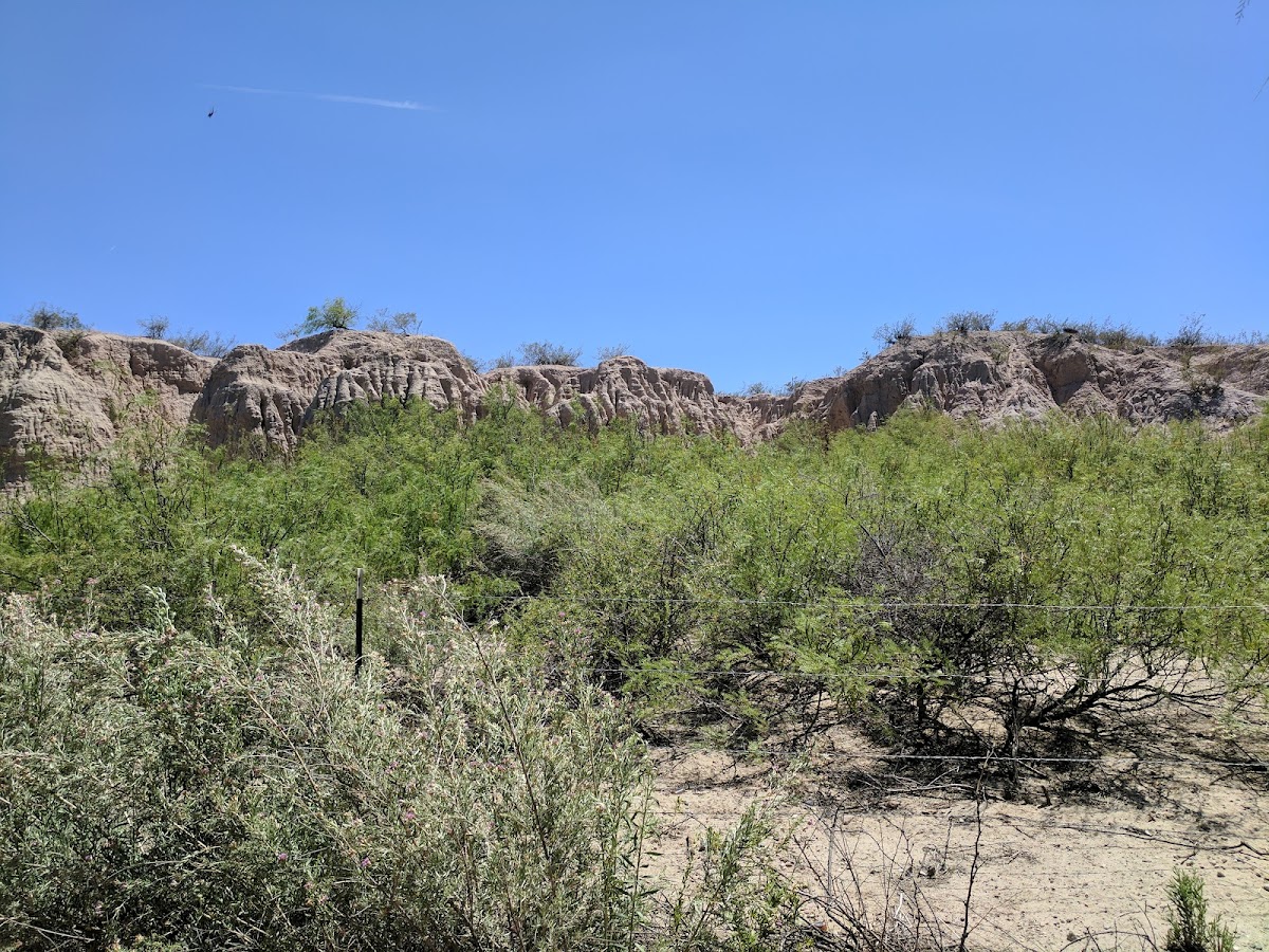 Mesilla Valley Bosque State Park
