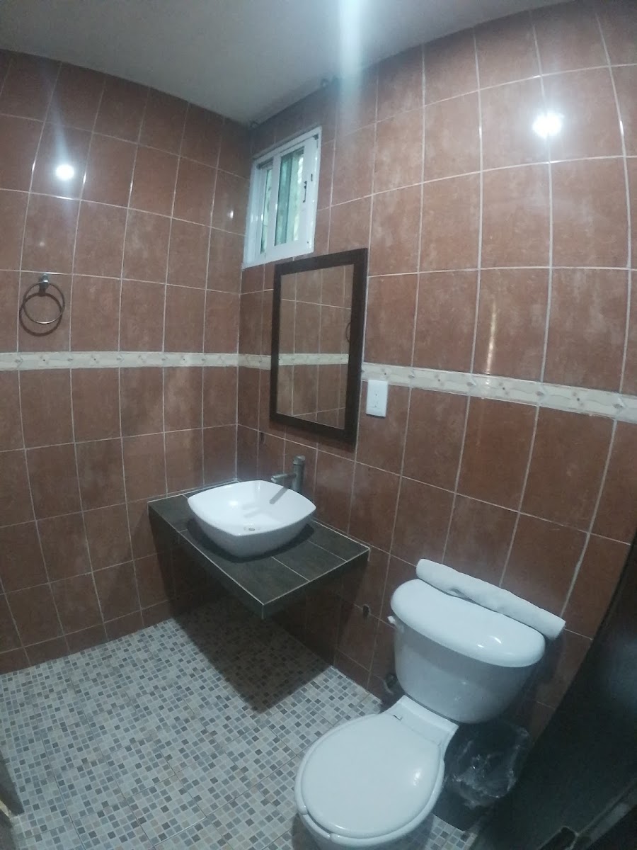 Room 6